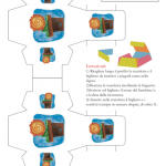 Bomboniera a scatoletta – Pianta fiorita