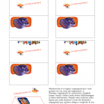 Cose utili – Segnaposto Gatto acciambellato