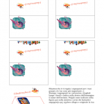 Cose utili – Segnaposto Topolino