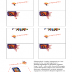 Cose utili – Segnaposto Trombetta