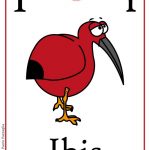 ABC book: Abbecedario inglese: Lettera I