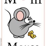 ABC book: Abbecedario inglese: Lettera M