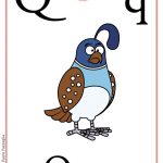 ABC book: Abbecedario inglese: verifica per la Lettera Q