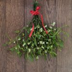 Vischio: tradizione di Capodanno
