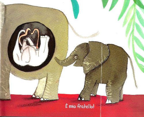 Tutte le pance del mondo