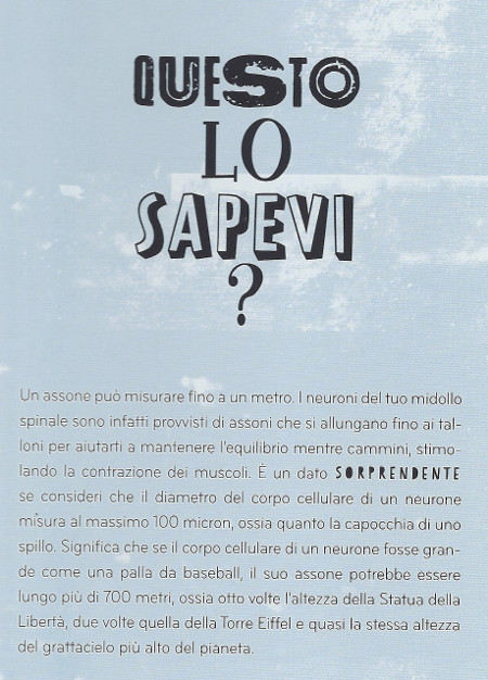 Usa il cervello! Se sai come guidarlo (ci) arrivi prima