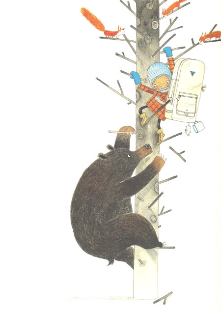 In viaggio alla scoperta degli orsi In viaggio alla scoperta degli orsi