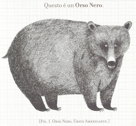 In viaggio alla scoperta degli orsi In viaggio alla scoperta degli orsi