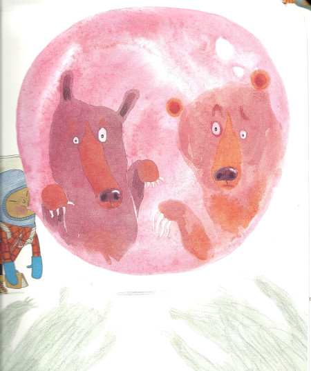 In viaggio alla scoperta degli orsi In viaggio alla scoperta degli orsi