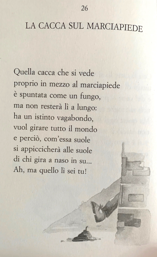 La zebra preferisce far la cacca sulle strisce La zebra preferisce far la cacca sulle strisce