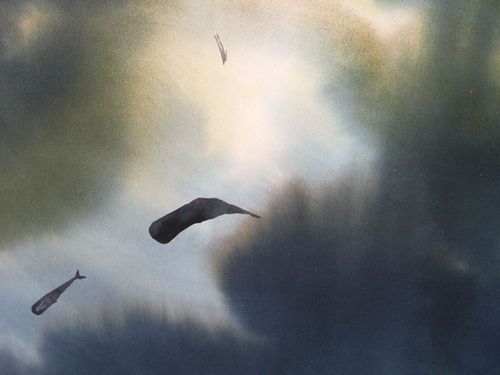 Una balena va in montagna