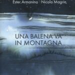 Una balena va in montagna