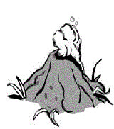 L'isola che non c'era