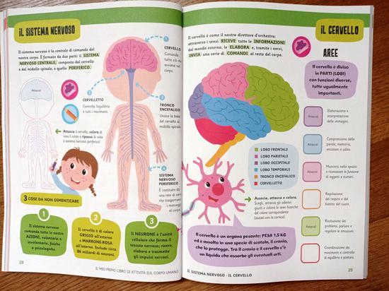 Il mio primo libro di Attività sul Corpo Umano