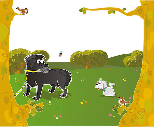 Quattro zampe in più