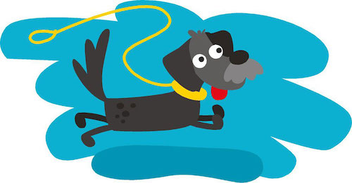 Quattro zampe in più