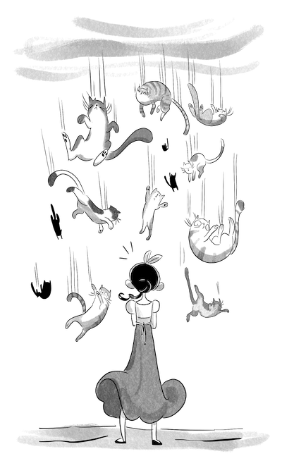 Lo Strampalatissimo Diario di Cenerentola