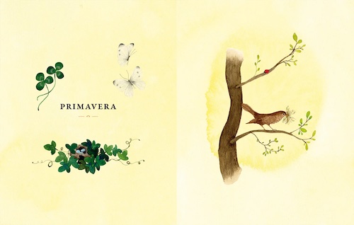 Haiku per esplorare il mondo Haiku per esplorare il mondo