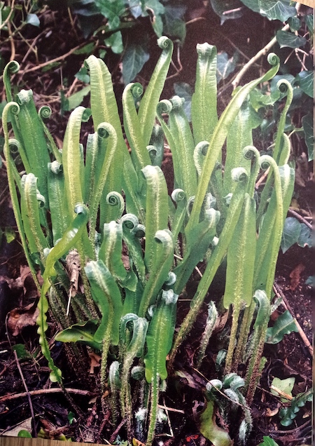 Ogni volta che parti