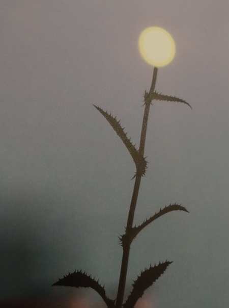 Ogni volta che parti