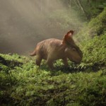 Dino-Day: una giornata insieme ai dinosauri