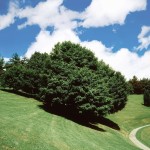 Arriva luglio (e le attese vacanze?)!