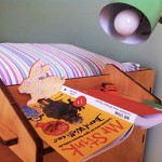 Il Signor Puzzone e l’amore per i libri