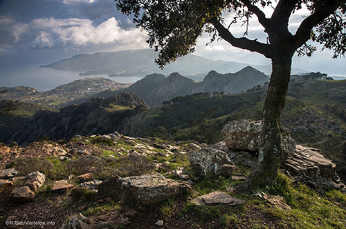 monti-elba