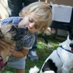 Giochi per bimbi e animali domestici #ascuoladipetcare