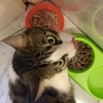 Nuovo look #PromessaMantenuta