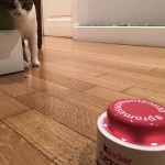 La cena con le amiche #promessamantenuta