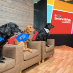 Better with Pets il forum di Purina
