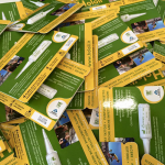 Holoil l’olio magico che toglie la bua