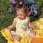 Il mio pic-nic con smarTrike