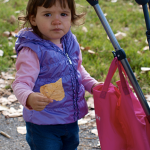 L’autunno nel bosco con smarTrike