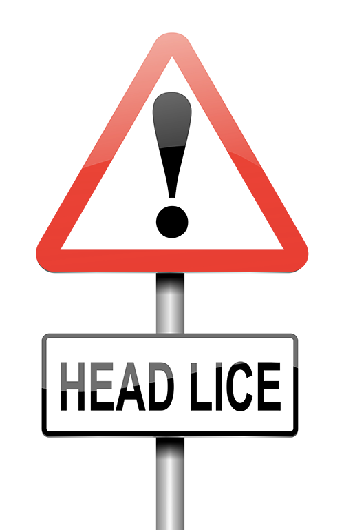 head-lice