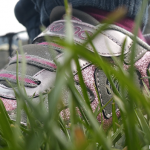 Tikimo le scarpe con GPS per sapere dov’è il tuo bambino