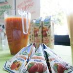 Un frullato Veggie al giorno toglie il medico di torno