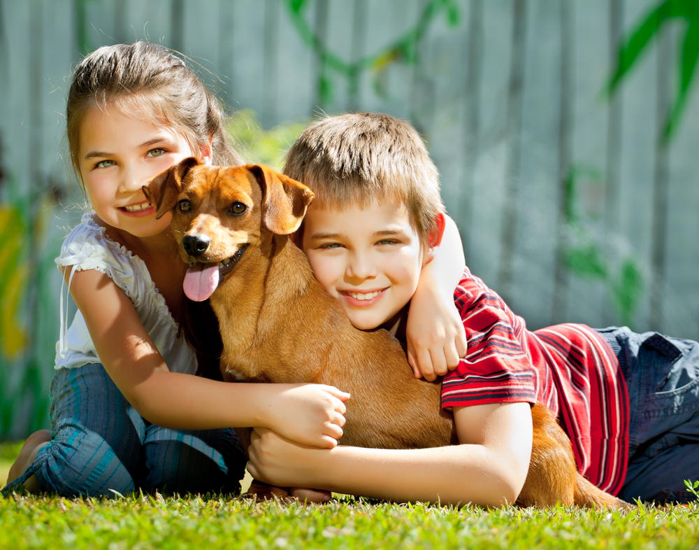 cane e bambini Bambino e bambina con cane