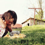 Quali sono gli animali della fattoria