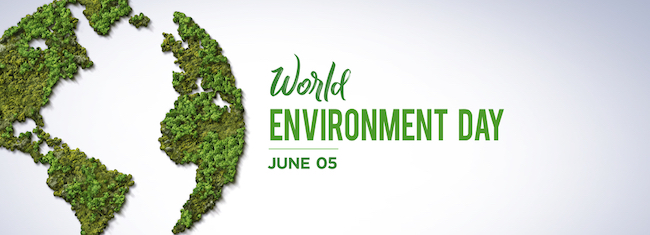 Giornata Mondiale dell’Ambiente: un impegno per il futuro