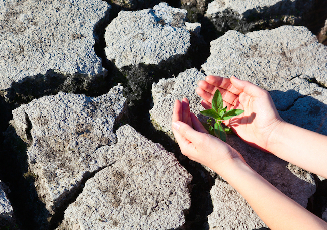 Giornata Mondiale dell’Ambiente: un impegno per il futuro